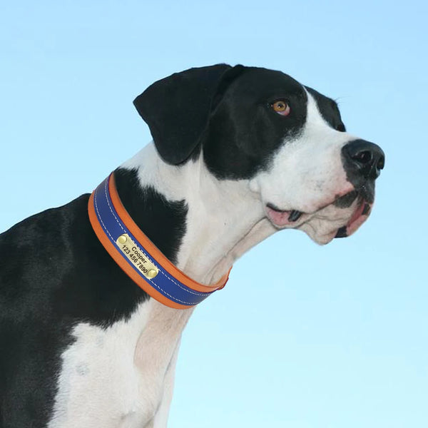 Load image into Gallery viewer, Santa Monica - Personalised Collar