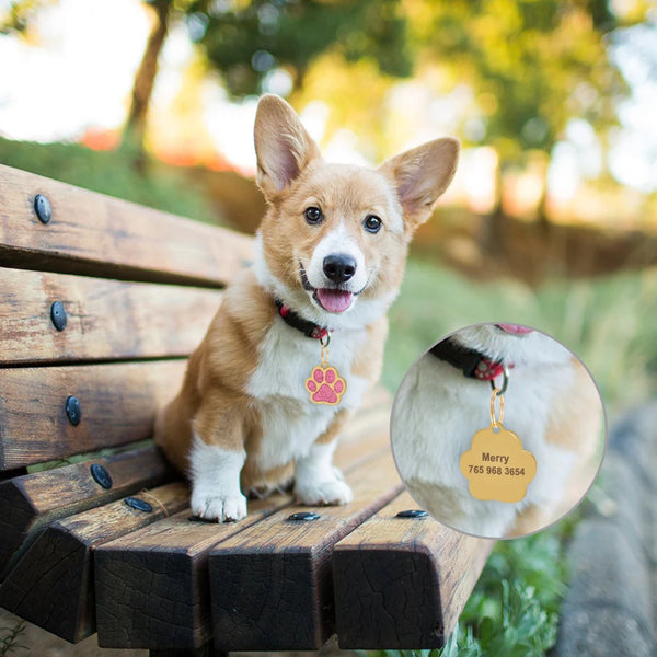 Load image into Gallery viewer, Gold Paw Pet Tag - Personalised Engraving