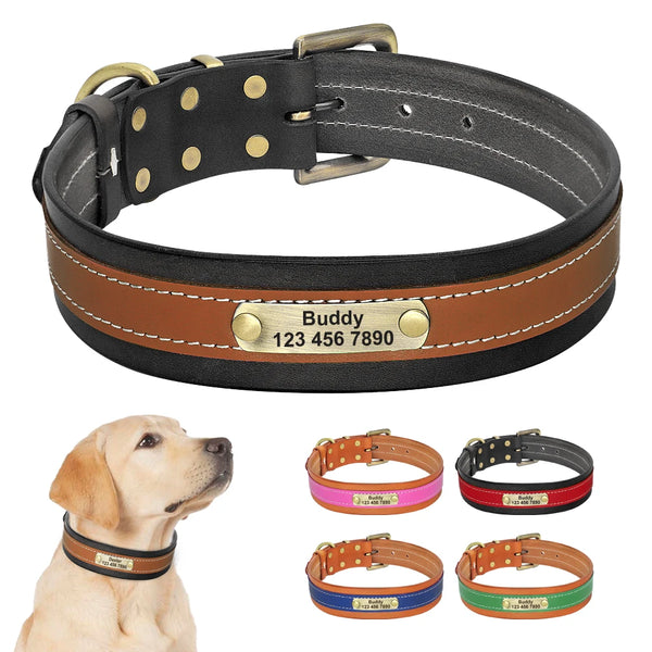 Load image into Gallery viewer, Santa Monica - Personalised Collar