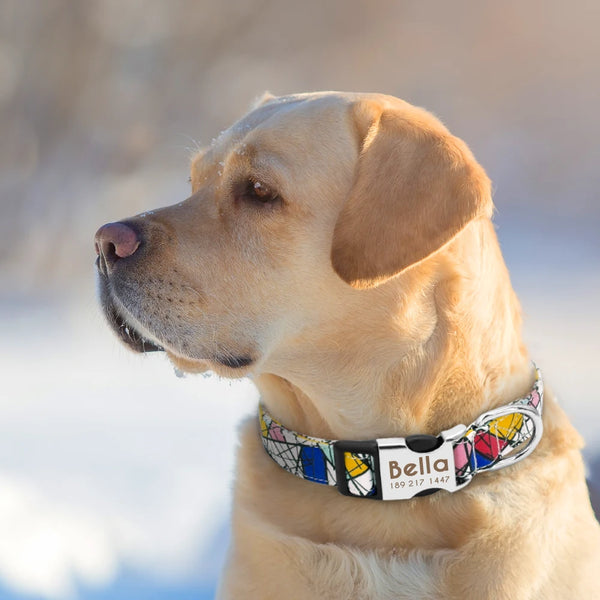Load image into Gallery viewer, Galactic - Personalised Collar