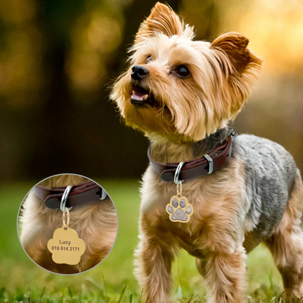 Load image into Gallery viewer, Gold Paw Pet Tag - Personalised Engraving