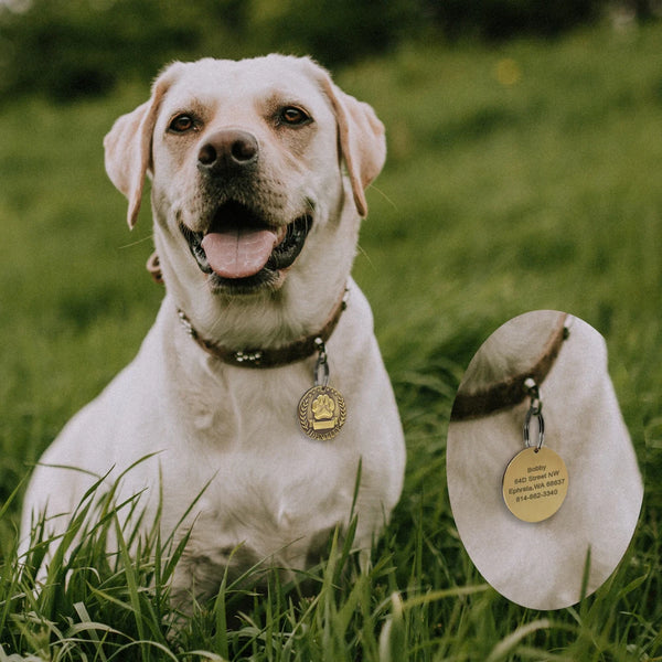 Load image into Gallery viewer, Brushed Pawz Pet Tag - Personalised Engraving