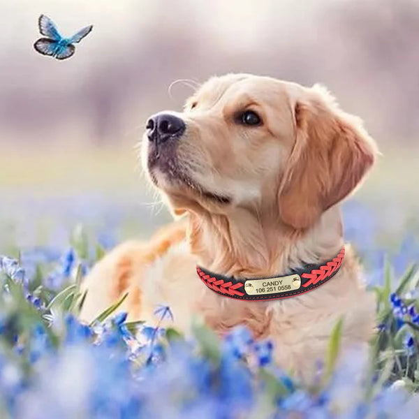 Load image into Gallery viewer, Colour Plait Gold - Personalised Collar