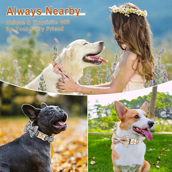 Load image into Gallery viewer, Pawsh - Personalised Collar