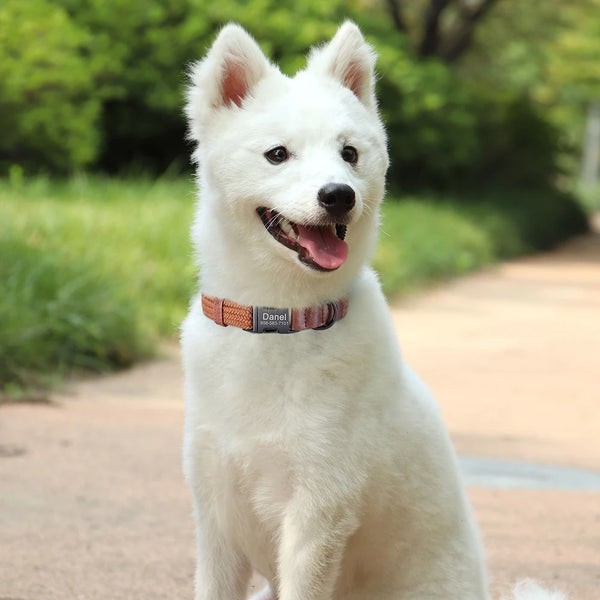 Load image into Gallery viewer, Midnight Luxe - Personalised Collar