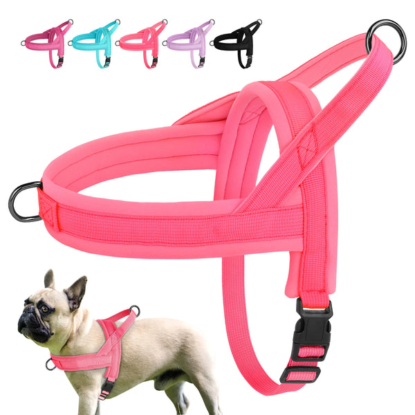 Load image into Gallery viewer, CloudFit Harness