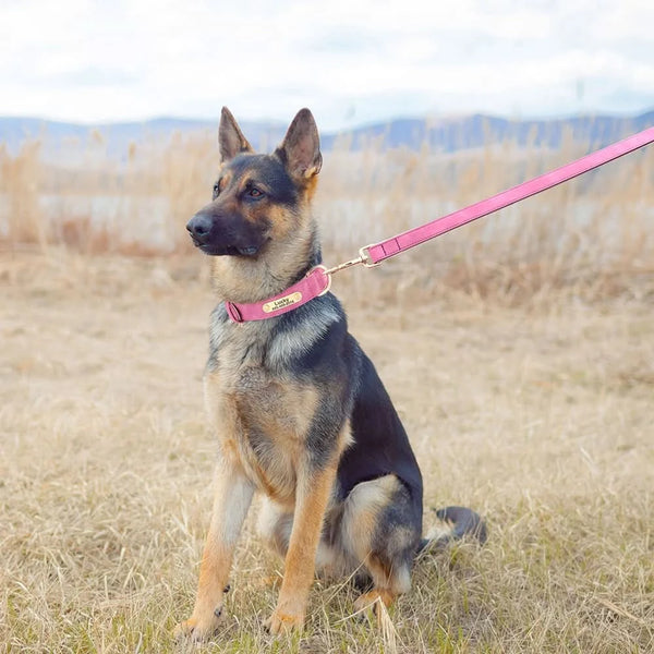 Load image into Gallery viewer, Florence Elite Limited Set - Leash and Personalised Collar