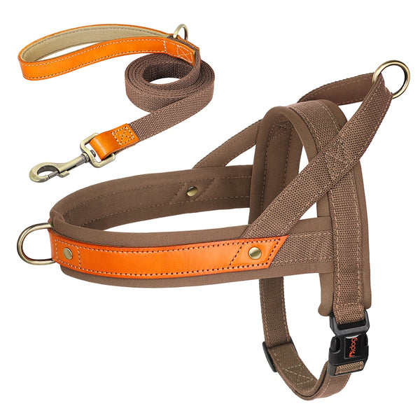 Load image into Gallery viewer, King Inspector - 2 Piece Set - Harness & Leash