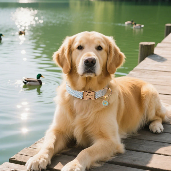 Load image into Gallery viewer, Daisy Chain - Personalised Collar