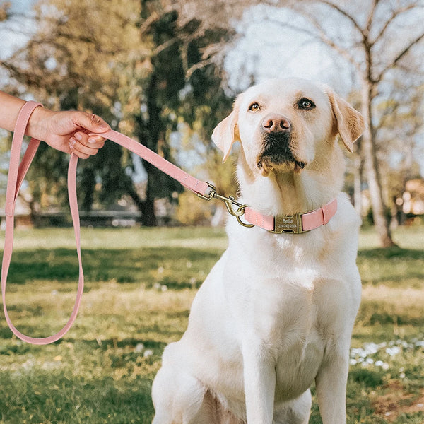 Load image into Gallery viewer, Vintage Bronzed - 2 Piece Set - Leash & Personalised Collar