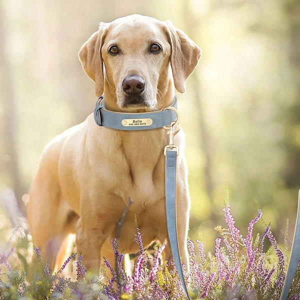 Load image into Gallery viewer, Florence Elite Limited Set - Leash and Personalised Collar