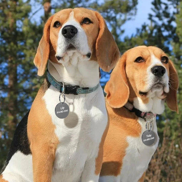 Load image into Gallery viewer, Classy Plain Jane Round Pet Tag - Personalised Engraving