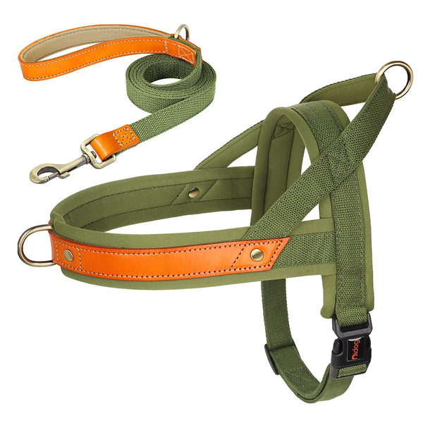 Load image into Gallery viewer, King Inspector - 2 Piece Set - Harness & Leash