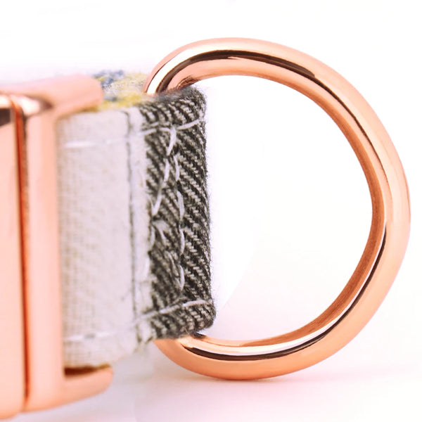 Load image into Gallery viewer, Toodlie - Personalised Collar