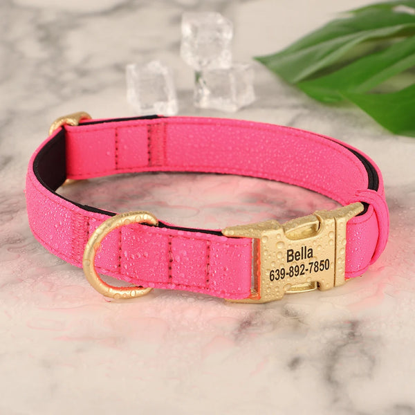 Load image into Gallery viewer, Golden Paws Luxe - Personalised Collar