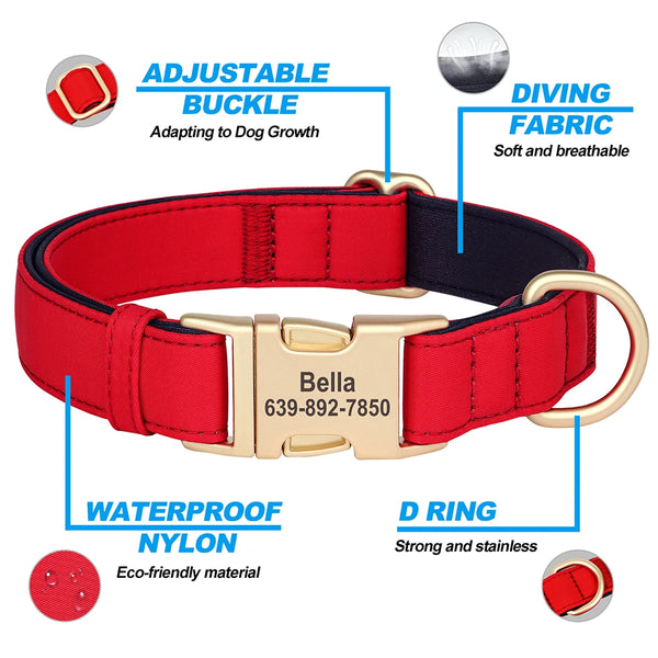 Load image into Gallery viewer, Golden Paws Luxe - Personalised Collar