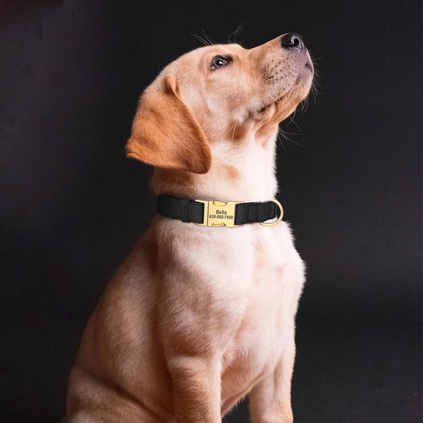 Load image into Gallery viewer, Golden Paws Luxe - Personalised Collar
