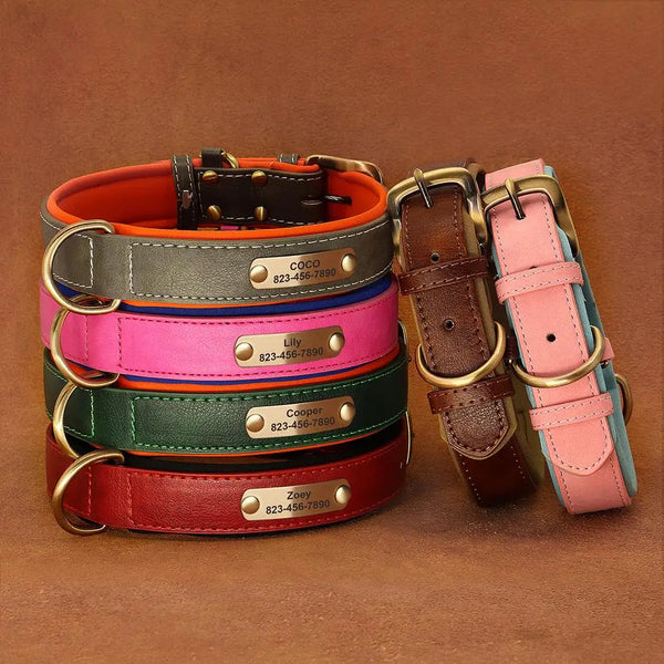 Load image into Gallery viewer, Florence - Personalised Collar
