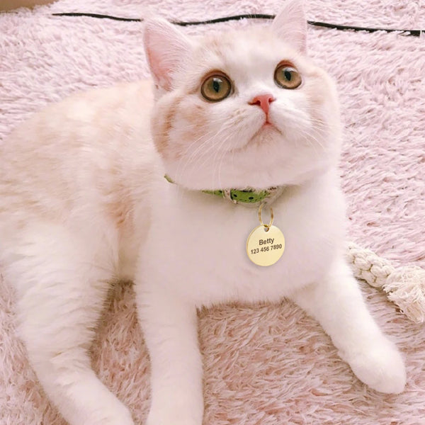 Load image into Gallery viewer, Classy Plain Jane Round Pet Tag - Personalised Engraving