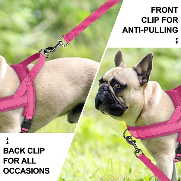 Load image into Gallery viewer, CloudFit Harness