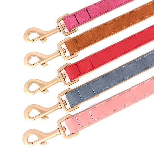Load image into Gallery viewer, Florence Elite Limited Set - Leash and Personalised Collar