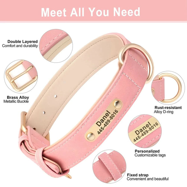 Load image into Gallery viewer, Florence Elite Limited Set - Leash and Personalised Collar