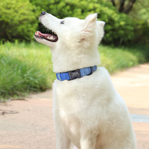Load image into Gallery viewer, Midnight Luxe - Personalised Collar
