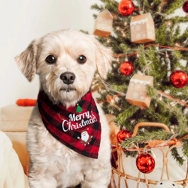 Load image into Gallery viewer, Jingle Bell Tree Costume