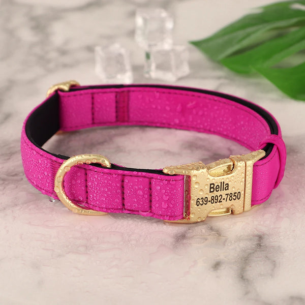 Load image into Gallery viewer, Golden Paws Luxe - Personalised Collar