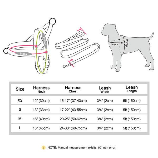 Load image into Gallery viewer, King Inspector - 2 Piece Set - Harness & Leash