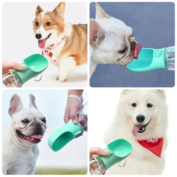 Load image into Gallery viewer, Sip 'n Go Rover Refresh Portable Pet Water Dispenser