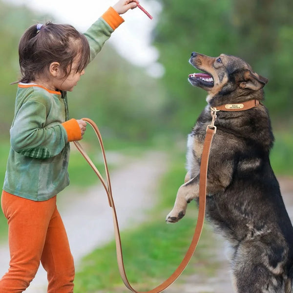 Load image into Gallery viewer, Florence Elite Limited Set - Leash and Personalised Collar