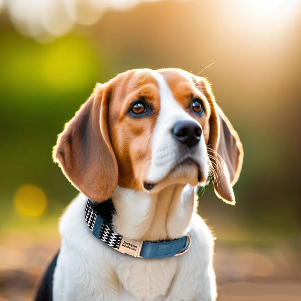Load image into Gallery viewer, Cross Walk - Personalised Collar