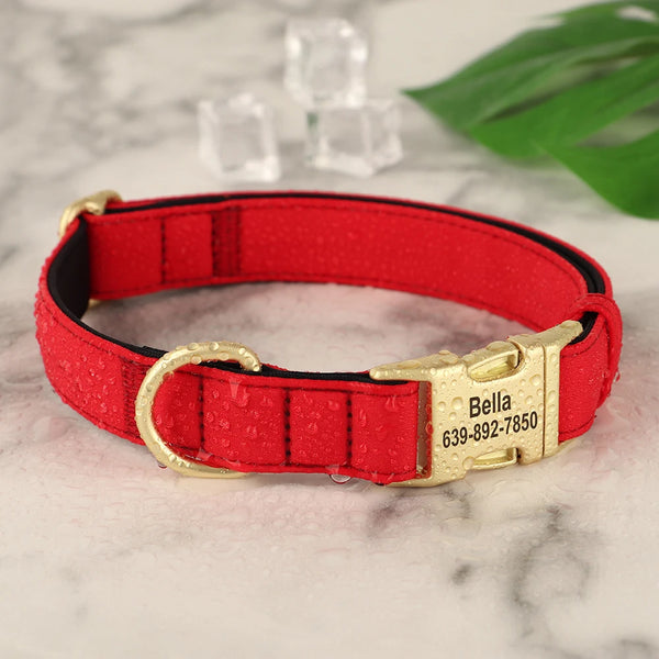 Load image into Gallery viewer, Golden Paws Luxe - Personalised Collar
