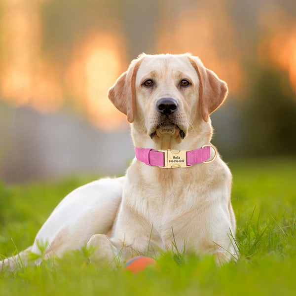 Load image into Gallery viewer, Noble Leather - Personalised Collar