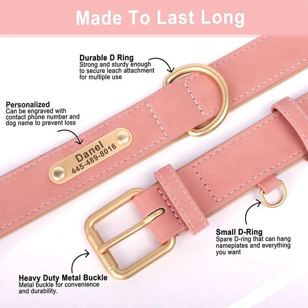 Load image into Gallery viewer, Florence Elite Limited Set - Leash and Personalised Collar