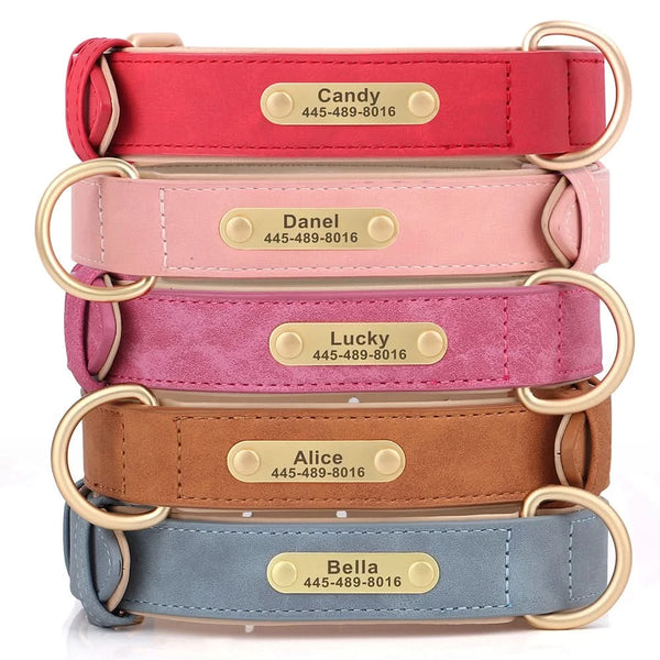 Load image into Gallery viewer, Florence Elite Limited Set - Leash and Personalised Collar