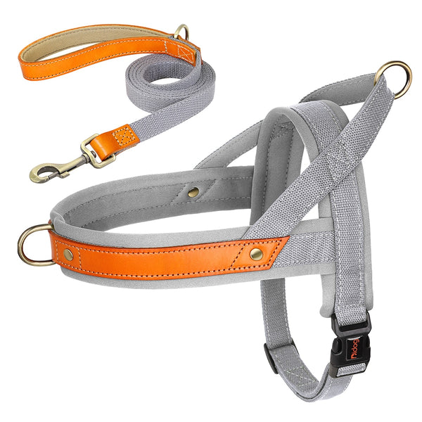 Load image into Gallery viewer, King Inspector - 2 Piece Set - Harness & Leash