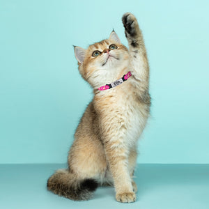 Moon Dust - Personalised Cat Collar