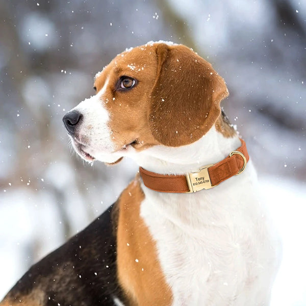 Load image into Gallery viewer, Plush - Personalised Collar
