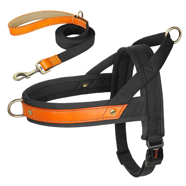 Load image into Gallery viewer, King Inspector - 2 Piece Set - Harness & Leash