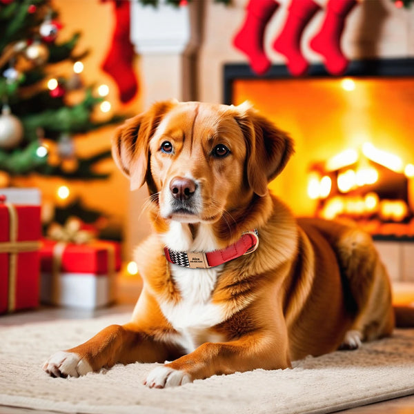 Load image into Gallery viewer, Cross Walk - Personalised Collar