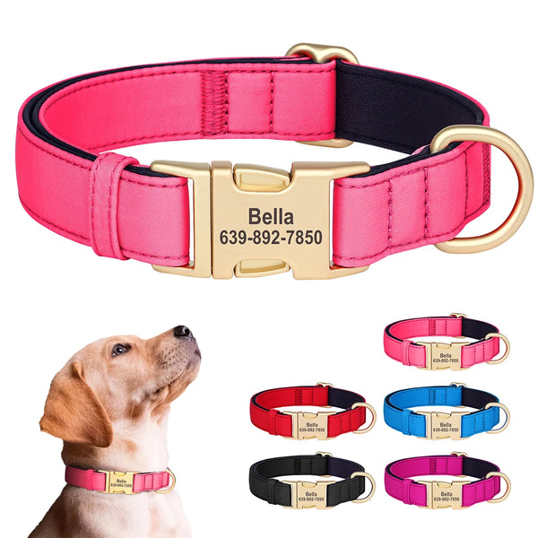 Load image into Gallery viewer, Golden Paws Luxe - Personalised Collar