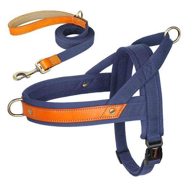 Load image into Gallery viewer, King Inspector - 2 Piece Set - Harness & Leash