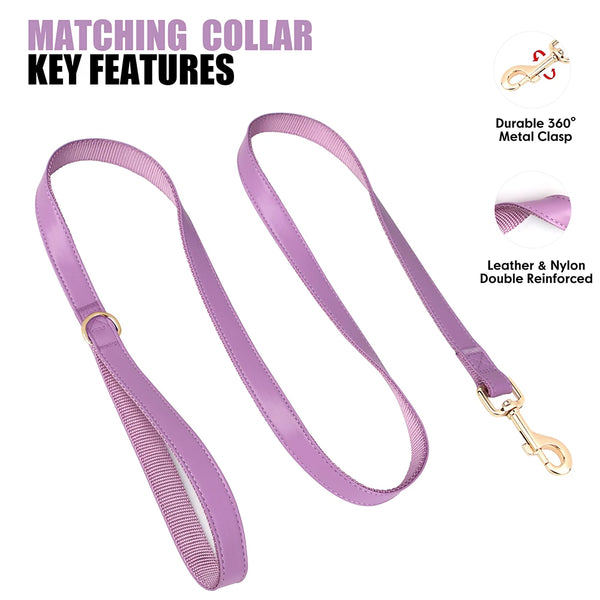 Load image into Gallery viewer, Boardwalk - Leash, Poop Bag Holder & Personalised Collar