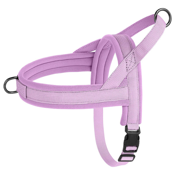 Load image into Gallery viewer, CloudFit Harness