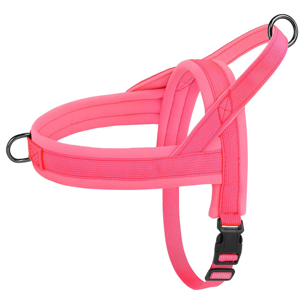 Load image into Gallery viewer, CloudFit Harness
