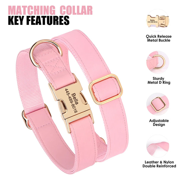 Load image into Gallery viewer, Boardwalk - Leash and Personalised Collar Set