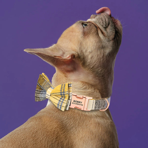 Load image into Gallery viewer, Toodlie - Personalised Collar