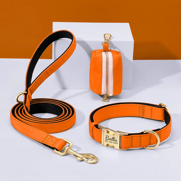 Load image into Gallery viewer, Everyday Itallic - Leash, Poop Bag and Personalised Collar